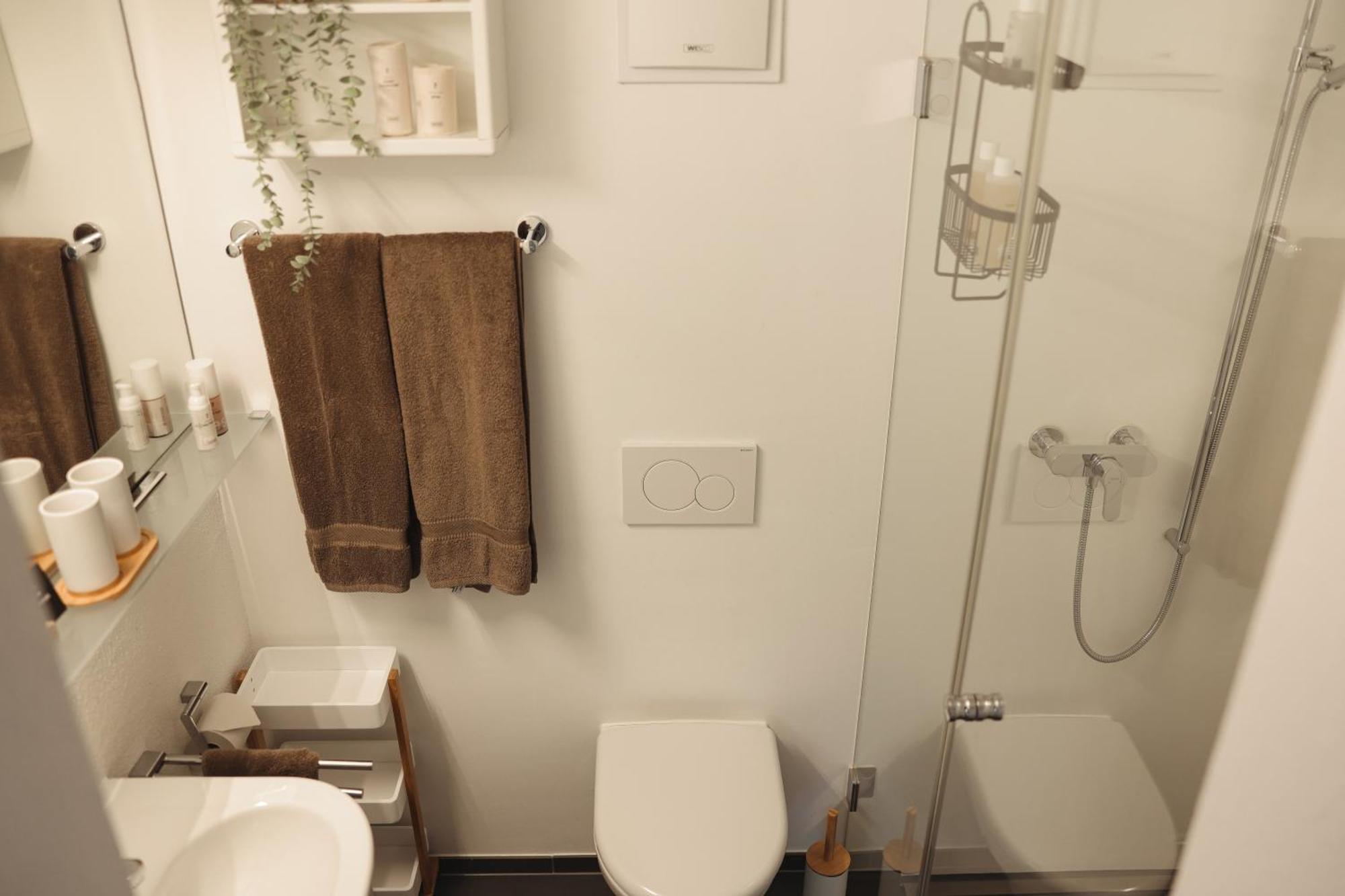 Haus Meierhuesli Malans エクステリア 写真